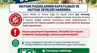 Amasya'da şap hastalığı nedeniyle hayvan pazarları ikinci duyuruya kadar kapatıldı