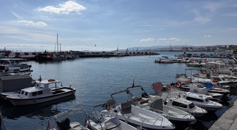 Fırtına sonrası Tekirdağ'da palamut bolluğu tezgahları hareketlendirdi