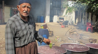 İslahiye'de 60 bin ton üzüm rekoltesi sonrası pekmez üretimi başladı