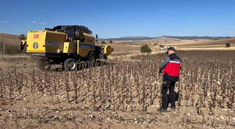 Kütahya Aslanapa'da yüzde 75 hibeli ayçiçeğinde hasat kontrolü yapıldı