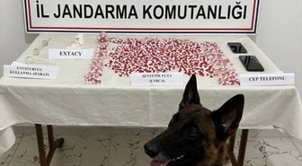 Siirt'te jandarma, otobüste 2 bin 650 uyuşturucu hap ele geçirdi, 1 şüpheli yakalandı