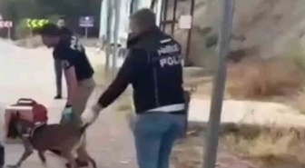 Sinop Boyabat'ta uyuşturucu operasyonunda 3 şüpheli tutuklandı