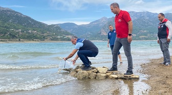 Tarım ve Orman Bakanlığı Kozan'da 7 göl ve gölete 665 bin sazan yavrusu bıraktı