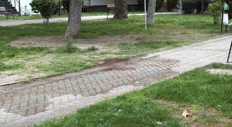 Eskişehir'de bıçaklı kavgada bir kişi ağır yaralandı, şüpheli yakalandı