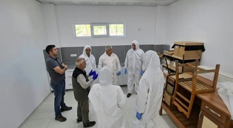 Aydın'da kestane gal arısına karşı Torymus sinensis üretim artışı 2027'de planlanıyor