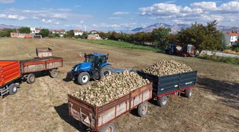 Elazığ Şeker Fabrikası'nda 240 bin ton pancar işleme hedefiyle hasat başladı
