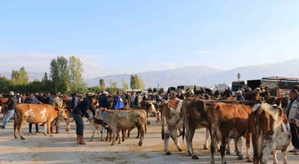 Erzincan İl Tarım ve Orman Müdürü Koçaker, üreticileri şap aşılaması konusunda uyardı