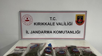 Kırıkkale'de 14 kök kenevir ele geçirilen operasyonda şüpheli gözaltına alındı