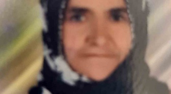 Mersin Tarsus'ta otomobilin çarptığı 72 yaşındaki kadın hastanede kurtarılamadı