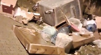 Sarıkamış'ta kış uykusu öncesi yiyecek arayan boz ayılar çöp konteynerlerine dadandı