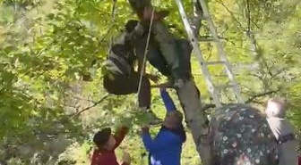 Artvin Şavşat'ta itfaiye, dallarda mahsur kalan 63 yaşındaki şahsı halatla kurtardı