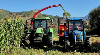 Bartın'da silajlık mısır hasadı başladı, 120 bin ton rekolte bekleniyor