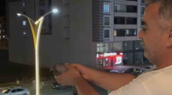Bingöl Genç'te havalandırmaya düşen 3 güvercin itfaiye ekiplerince kurtarıldı