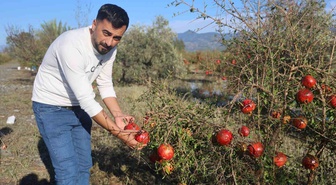 Hatay Arsuz'da dolu, hasada günler kala 100 dönümlük nar bahçesini vurdu