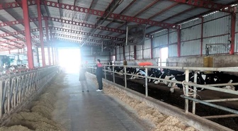 Kırklareli Pınarhisar'da hayvancılık işletmelerinde hayvan sağlığı denetlendi