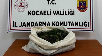 Kocaeli'de 4 ilçede uyuşturucu operasyonunda 7 şüpheli hakkında adli işlem başlatıldı