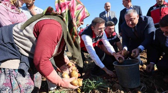 Niğde Konaklı'da yerli patates hasadında dekara 4,5-5 ton verim elde edildi