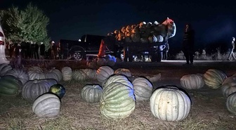 Bolu'da traktörle pikap çarpıştı, otomobil tarlaya savruldu, 4 kişi yaralandı