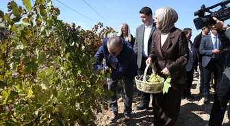 BBP lideri Destici, Eskişehir Günyüzü'nde yaklaşık 820 yıllık köyde üzüm topladı