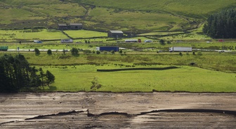 İngiltere'de Yorkshire Vahşi Yaşam Parkı'nda kaplan saldırısı bir kişiyi öldürdü