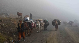 Şırnak'ta son göçer sürüsü soğuk nedeniyle Faraşin Yaylası'ndan 20 günlük yola çıktı