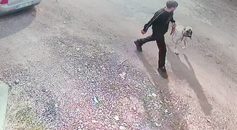 Siverek'te Kangal cinsi köpeği iki kişi çaldı, o an kameraya yansıdı