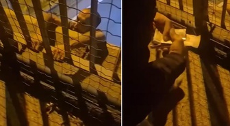Trafik cezası sonrası intihara kalkıştı! İkna etmeye çalışan kişinin sözleri şaşırttı