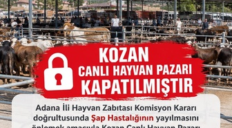 Adana Kozan'da Canlı Hayvan Pazarı'nda şap nedeniyle alım satım durduruldu