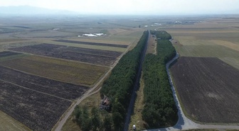Bakan Kurum, Kars Selim'deki Benliahmet İstasyonu'nda 55 yıllık çam ormanını paylaştı