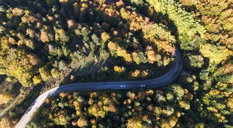 Bolu'da sonbaharla sararan ormanlar Gölcük Tabiat Parkı yolunda dronla görüntülendi