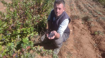 Eskişehirli üretici Erçam, aronyanın şeker ve kanser hastalarına ek gıda olduğunu söyledi