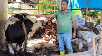 Hatay'da SAT-1 varyantına karşı büyükbaş hayvanlara şap aşısı yapılıyor