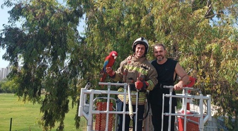 İskenderun'da kafesten kaçan papağanı ağaçta mahsur kalınca itfaiye kurtardı