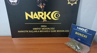 Ordu Fatsa'da 53,58 gram uyuşturucu ve ham maddesi ele geçirildi, şüpheli tutuklandı