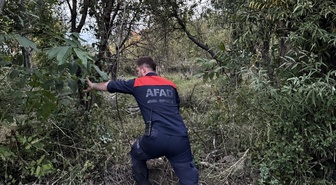 Sinop Boyabat'ta ormanda kaybolan 71 yaşındaki kadın için arama başlatıldı