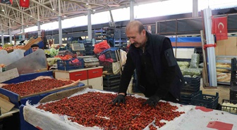 Sivas'ta kuşburnu sezonu açıldı, halde 70-150 TL arasında satılıyor