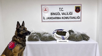 Bingöl'de jandarma 25 olaya müdahale etti, uyuşturucu madde ve silah ele geçirildi.