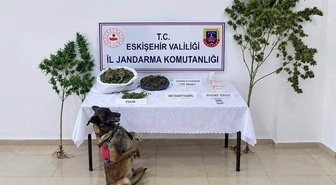 Eskişehir Tepebaşı'nda operasyonda 1,5 kilo esrar ele geçirildi, 1 şüpheli tutuklandı