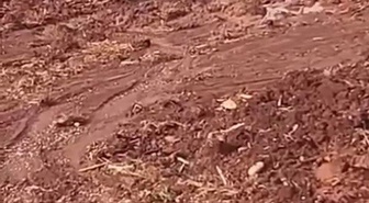 Hatay Reyhanlı'da çamura saplanan eşek, itfaiye ekiplerince sahibine teslim edildi