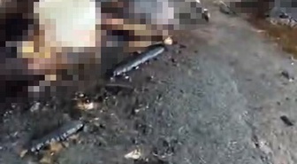 Silivri'de ahır yangınında 14'ü gebe olmak üzere 24 büyükbaş hayvan telef oldu
