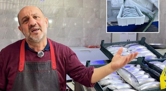 Strafor köpük kasasının fiyatı palamuttan 3 kat pahalı