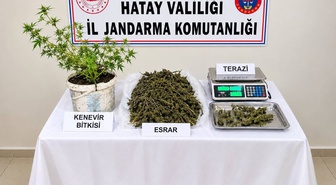 Hatay Kumlu'da operasyonda 3 bin 578 gram esrar ele geçirildi, 1 şüpheli tutuklandı