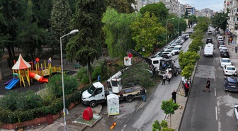 İzmir Karşıyaka'da gece devrilen ağaç park halindeki 4 otomobile hasar verdi