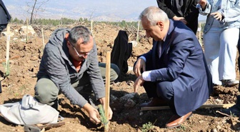 Karabük'te ErasmusDays etkinliğinde 250 fidanlık ağaçlandırma yapıldı