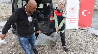 Malatya'da Boztepe ve Sultansuyu baraj göllerine 800 bin balık yavrusu salındı