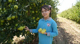 Niğde'de ilkokul öğrencileri üniversitenin elma bahçesinde hasat yaptı
