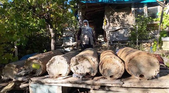 85 yaşındaki Hatice Orhan, Yozgat Çayıralan'da beş karakovanla bal üretiyor