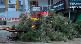 Adana'da sağanak; yollar göle döndü