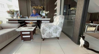 Batman'da matbaa, soğukta sokak kedilerine yuva oldu, iki kedi doğum yaptı