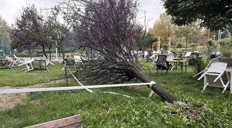 Elazığ'da sağanak ve rüzgarda devrilen ağaç Fırat Üniversitesi yakınında araca düştü